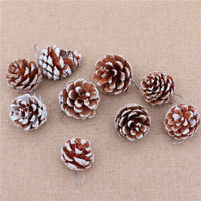 Christmas pine cones Christmas pendants圣诞节装饰