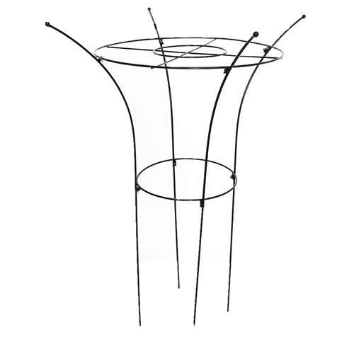 铁艺绣球兰蓝雪花月季花架爬藤架子支撑扶直架固定花卉植物支架杆