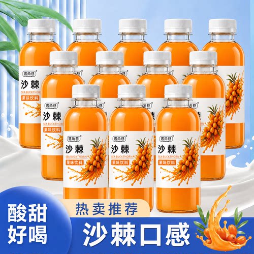 新品冲量沙棘汁酸甜可口整箱特价