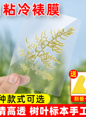 冷裱膜照片相片保护膜自粘过塑膜镭射A6标本贴膜贴膜自封树叶高光封塑膜 a4塑封膜6寸手工制作植物书签冷表膜