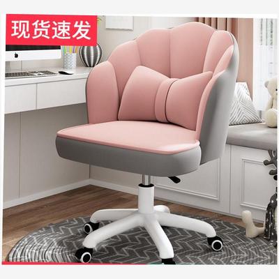 ComputerchaiErgonswive