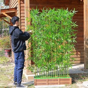 仿真竹子细水假竹子装 饰室内户外隔断绿植物塑料挡墙阳台庭院造景