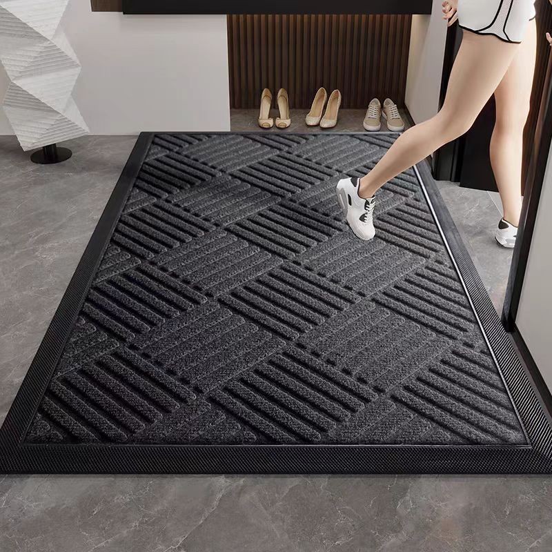 入户门外地垫2024新款轻奢高级感门口门垫吸水加厚店门口地毯蹭土
