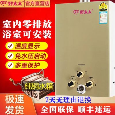 德福好太太煤气燃气热水器液化气煤气罐天然气电池款强排式低水压