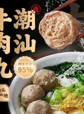 〔到手12袋〕95%肉含量潮汕牛肉丸实心品质烧烤火锅送蒜酥沙茶酱