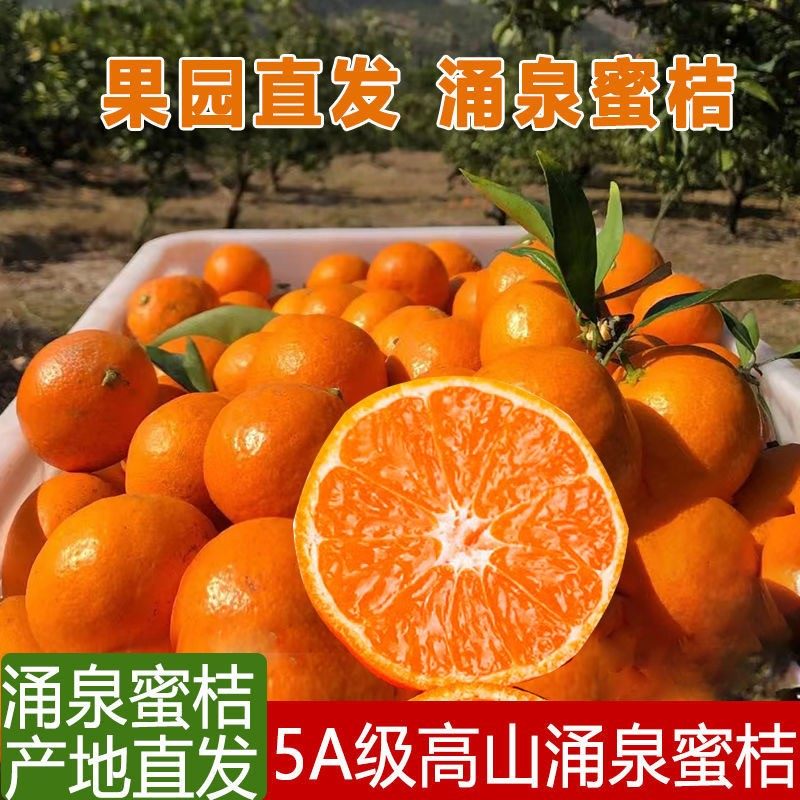 正宗涌泉蜜桔高山早熟临海原产地发货现摘现发新鲜无打蜡无核桔子,水产肉类/新鲜蔬果/熟食,桔子,淘宝优惠券,粉丝福利购,淘宝优惠卷