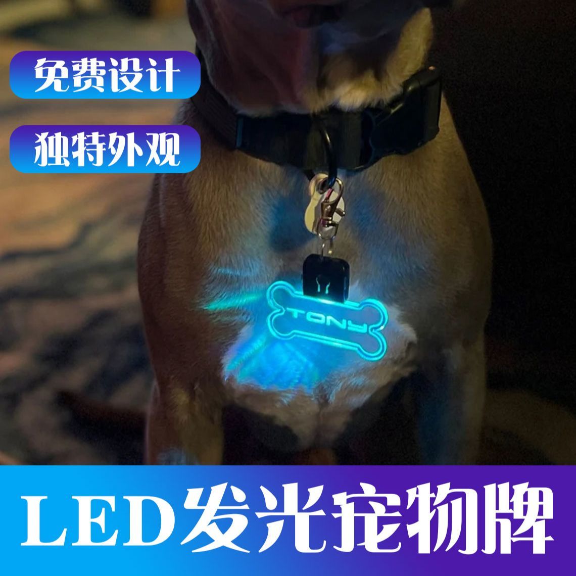led发光遛狗防丢刻字吊牌猫狗通用定制挂牌身份牌宠物牌项圈挂饰