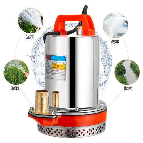 直流潜水泵12V24V48V60V伏家用电瓶车抽水泵小型电动车农用抽水机