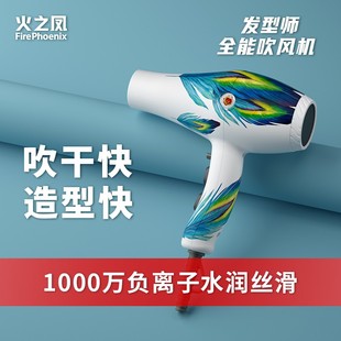 火之凤吹风机8960发型师专用发廊大功率理发店家用负离子护发速干