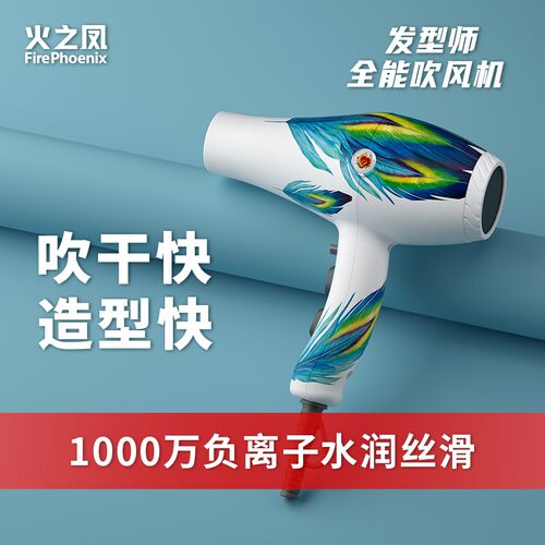 火之凤吹风机8960发型师专用发廊大功率理发店家用负离子护发速干