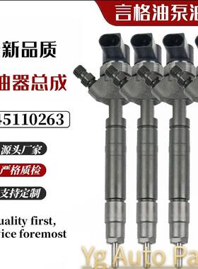 0445110263 A6460700487 燃油喷油器 共轨喷油器0445110264
