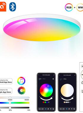 涂鸦蓝牙智能吸顶灯AlexaGoogle超薄简约款蓝牙RGBCW七彩卧室灯