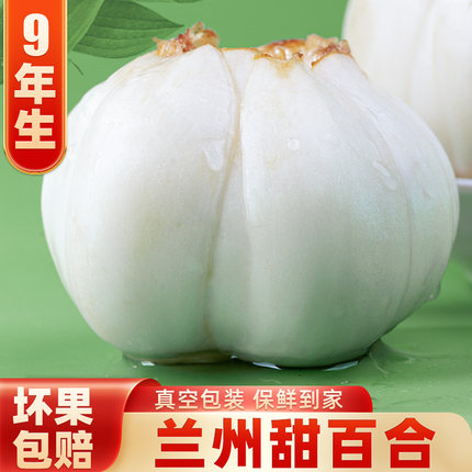 兰州百合新挖新鲜百合500g新鲜食用百合非干货白合正宗甘肃特产级