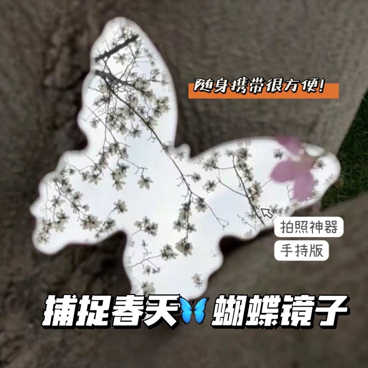网红蝴蝶化妆镜补妆便携春日拍照意境蝴蝶便宜加厚创意摆拍