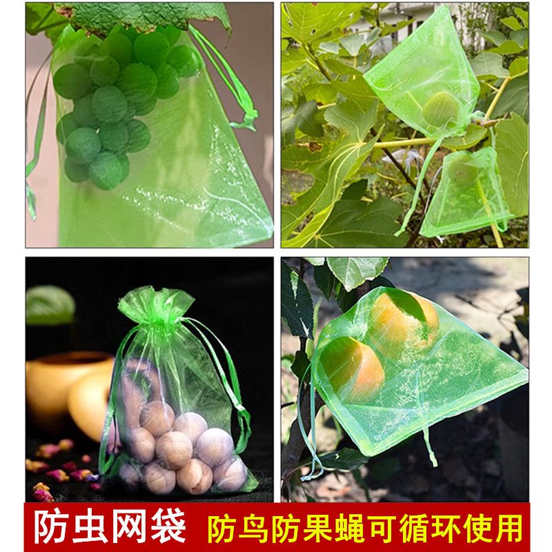 水果套袋防蚊虫防鸟专用网纱袋枇杷葡萄无花果草莓蔬菜保护袋