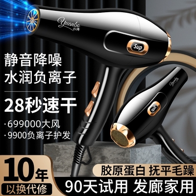 德国速干3200大功率负离子护发