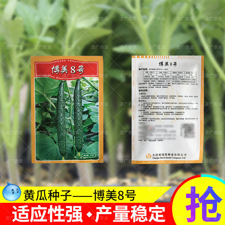 博美8号黄瓜种籽春秋露地种植短把密刺高产菜种籽德瑞特蔬菜种子