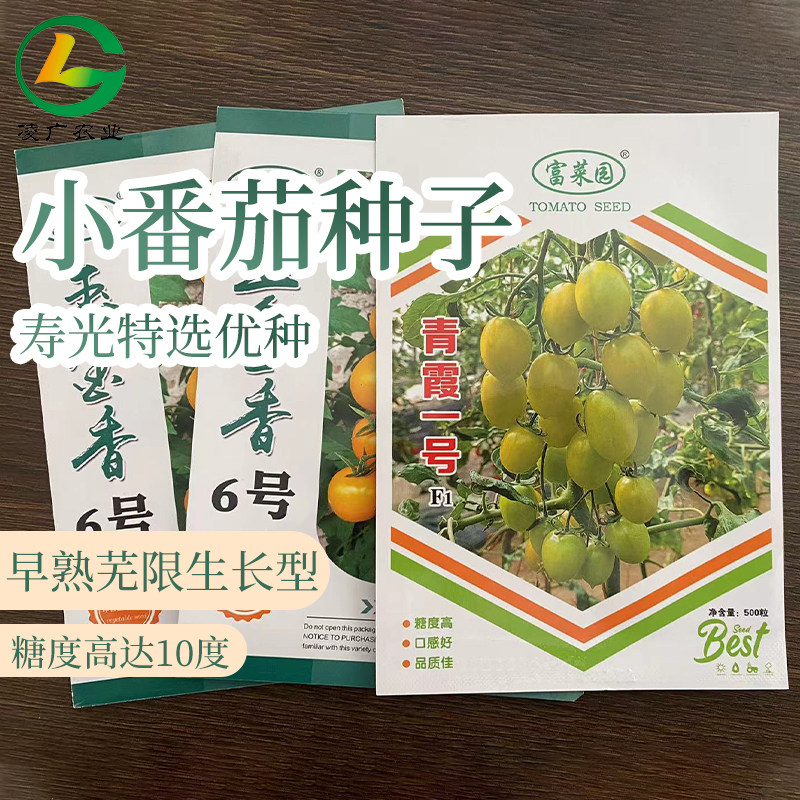 玉金香2号黄色小番茄种子 青霞1号樱桃番茄种子