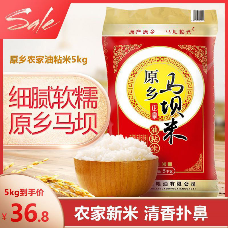 新米原乡马坝粮仓油粘米广东特产农家大米5kg长粒香米10斤