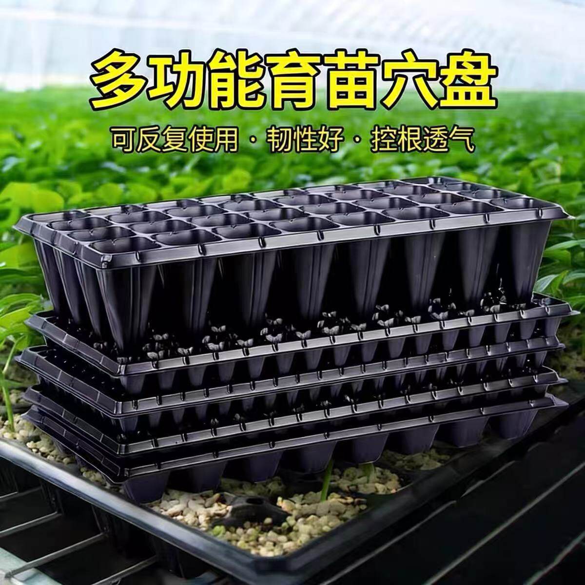 育苗穴盘西瓜托盘种子辣椒茄子草莓蔬菜芽菜营养杯育苗盘加深加厚
