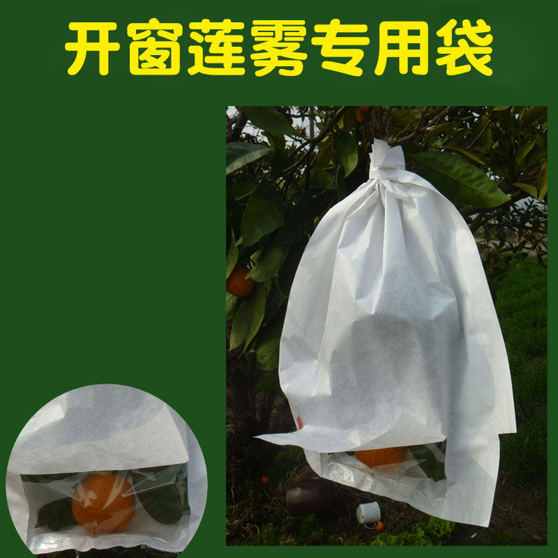 加厚莲雾套袋防虫袋莲雾袋子防虫专用释迦水果套袋专用袋释迦袋子,鲜花速递/花卉仿真/绿植园艺,其它园艺用品,淘宝优惠券,粉丝福利购,淘宝优惠卷