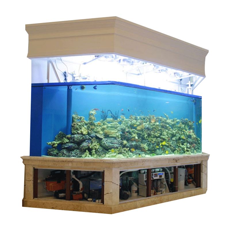 新圆柱弧形水族箱专业海水缸生态海洋缸承接水族工程定做压克力品