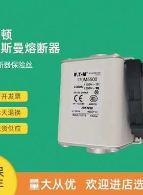 全新快速熔断器保险170M5536 170M5537 170M5538 170M5539