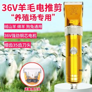 特利36V宠物推剪专p业380W大功率绒山羊推剪剃大型犬狗狗长毛兔