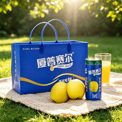 厦普赛尔黄梨汁山西特产果味风味饮料整箱礼盒装246ml*12罐