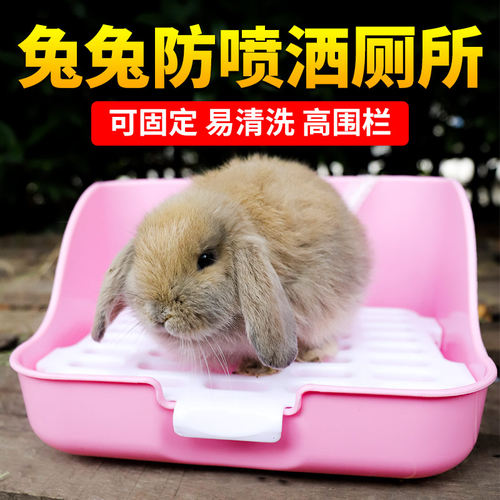 兔兔子貂厕所小号龙猫三角拉屎