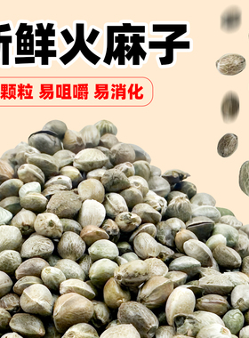 鹦鹉鸟粮饲料麻子火麻仁火麻籽小鸟食物鹦鹉粮小颗粒专用奖励零食