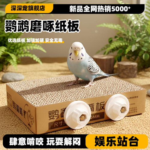 深深宠磨爪磨啄放肆啃咬加硬加厚
