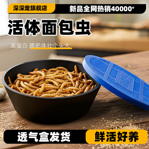 深深宠面包虫活虫透气盒发货