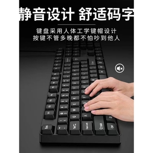 USB有线电脑台式 双飞蛇键盘鼠标套装 笔记办公专用静音微音打字机
