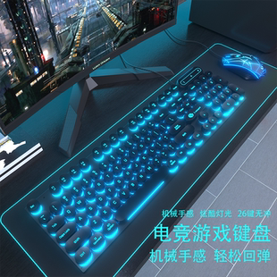 USB机械手感笔记本台式 双飞蛇有线圆键复古键盘鼠标套装 电脑办公