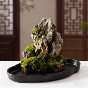 上水石盆栽吸水石陶瓷水培专用花盆室内家用桌面绿植造景装 饰摆件