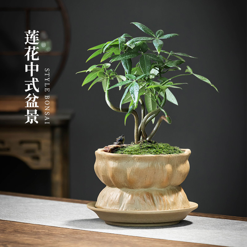 莲花中式粗陶盆景盆发财树室内桌面文竹绿植摆件创意莲蓬透气带托