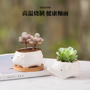 陶瓷花盆创意迷你多肉摆件小清新植物个性 桌面盆简约可爱动物花盆