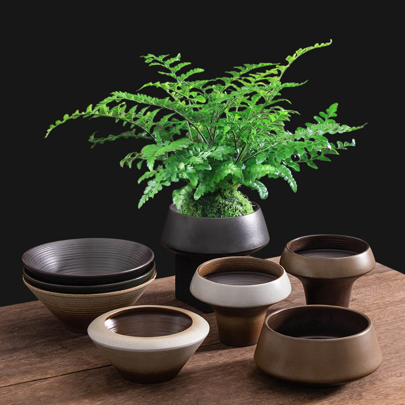 陶瓷花盆清香木香水石斛兰盆栽室内客厅茶桌花卉绿植简约水培器皿,鲜花速递/花卉仿真/绿植园艺,花盆,淘宝优惠券,粉丝福利购,淘宝优惠卷