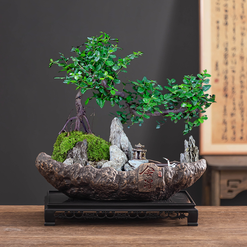 禅意舍得福建茶盆景花盆大口径船型六月雪造景陶瓷有孔盆器带托盘