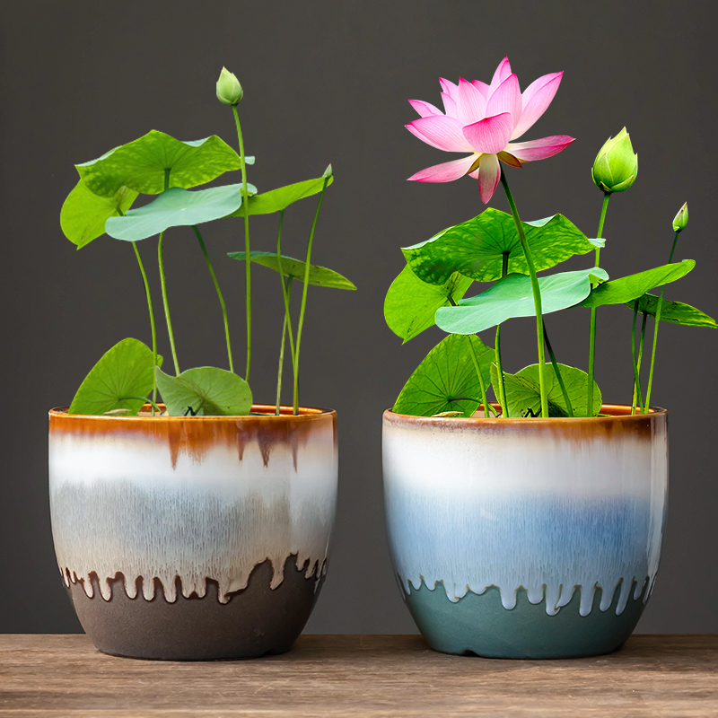 陶瓷无孔盆碗莲容器睡莲大号水培花盆莲花水生植物陶瓷荷花家用缸