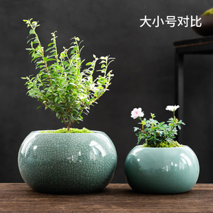 哥窑盆景花盆月季 小号透气盆栽客厅精品陶瓷花盆托盘 绿植桌面中式