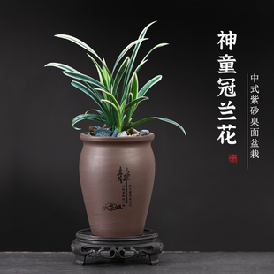 紫砂花盆禅意桌面罗汉松绿植盆景兰花盆多肉小花盆带托盘阳台摆件