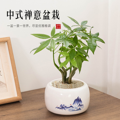 陶瓷花盆发财树中式盆栽