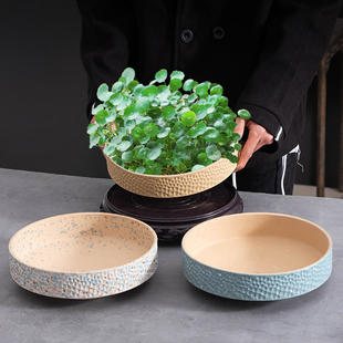 简约铜钱草水培器皿陶瓷大口径水养绿植专用花盆家用桌面摆件带托