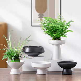 花盆苔藓球托盘陶瓷水培器皿米竹菖蒲苔藓球绿植盆栽客厅绿植摆件