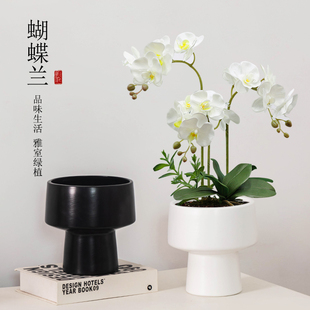 陶瓷花盆蝴蝶兰流泉枫专用盆工作室轻奢装饰摆件北欧风高级桌面盆