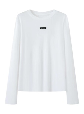 小艾！2025女装秋百搭休闲简约气质显瘦圆领长袖纯色T恤上衣4001