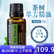 Cây trà chính hãng doTERRA Dotray tinh dầu đơn phương 15ml dưỡng da vị thành niên trang web chính thức - Tinh dầu điều trị