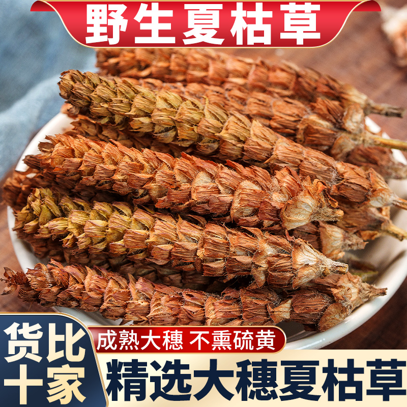 野生夏枯草中药材蒲公英车前草